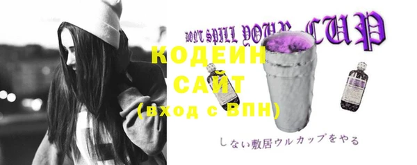 таблы Бородино