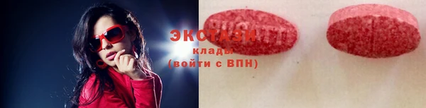 СК Ельня