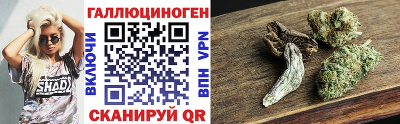 Псилоцибиновые грибы Psilocybine cubensis Кировск