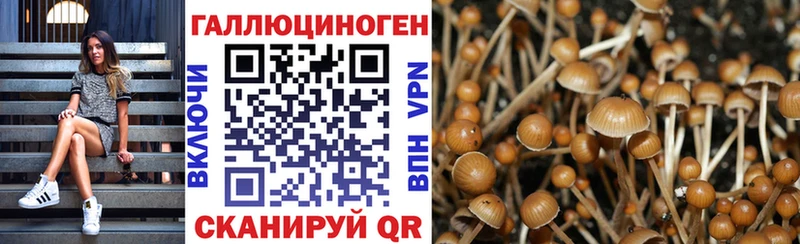 купить закладку Кировск Галлюциногенные грибы Cubensis